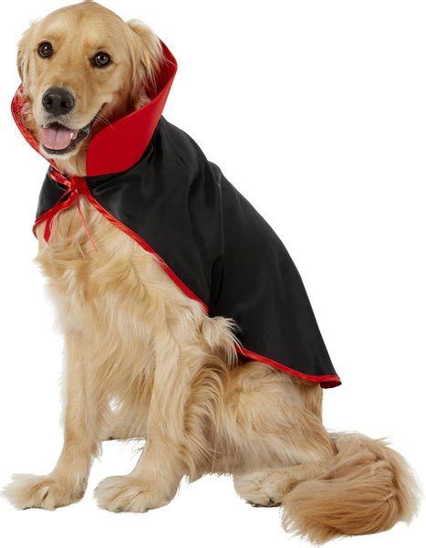 FRISCO Vampire Cape Dog & Cat Costume, X-Large/XX-Large - Chewy.com