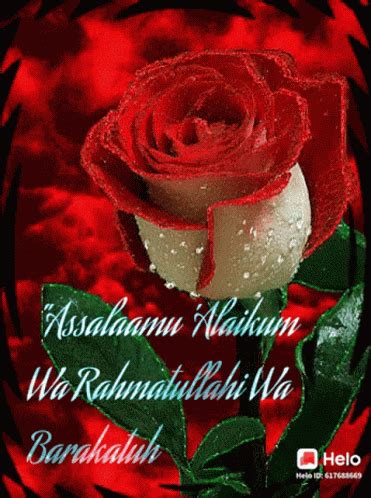 Assalaamu Alaikum Wa Rahmatullahi Wa Barakatuh अस्सलामुवलेकुम GIF - AssalaamuAlaikumW… | Good ...