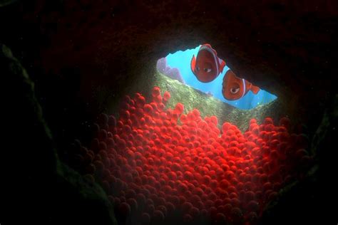 Finding Nemo Is the Saddest Story Ever • Op-Ed