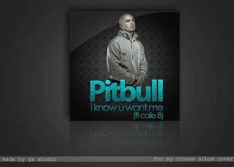 pitbull itunes album cover by urbandesing on DeviantArt