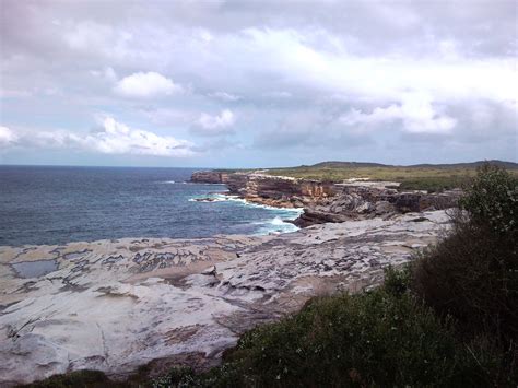 National Park Kurnell, NSW, Australia. Whale watching Botany Bay, Whale ...