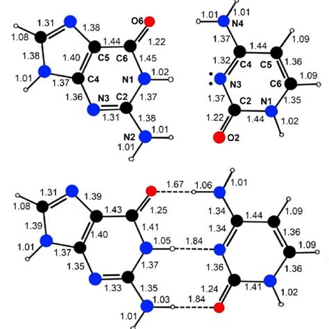 The proposed structure for the cytosine-cytosine base pair under acidic ...