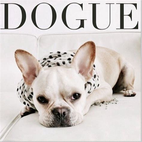 DOGUE Magazine | VOGUE! | Pinterest | The o'jays, Magazines and The world