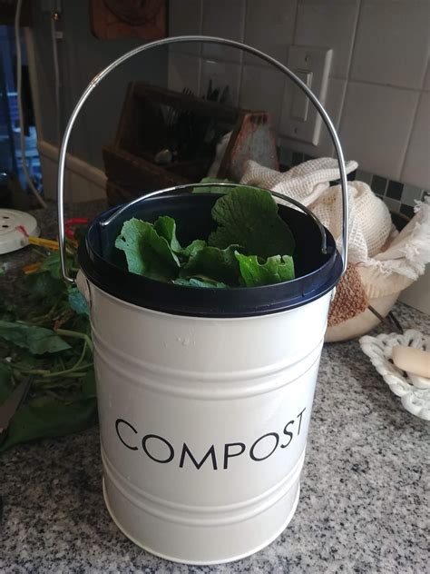 Worm Composting Basics - Sustainable Journey