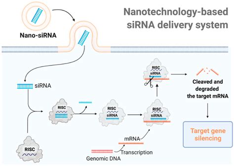 Pharmaceutics | Free Full-Text | Nanotechnology-Based siRNA Delivery ...