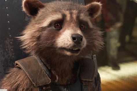 Rocket Raccoon’s heartbreaking farewell in Marvel Studios’ Guardians of ...