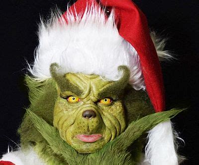 The Grinch Costume