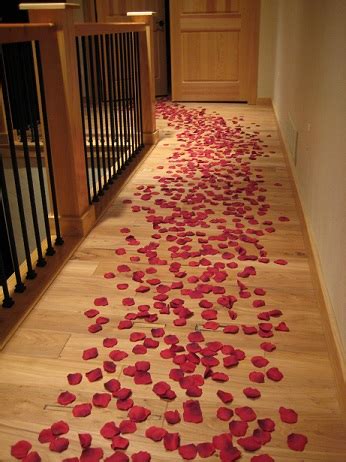 [ベスト] rose petals and candles 233381-Rose petals and candles in bathroom