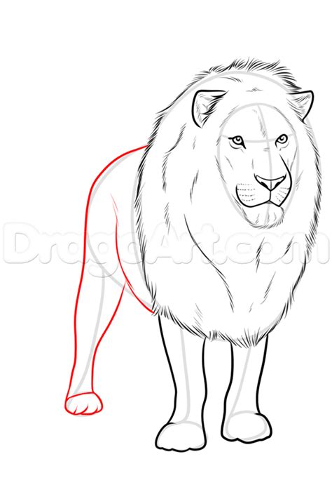 drawing a realistic lion step 9 Love Drawings, Line Art Drawings, Easy Drawings, Drawing ...