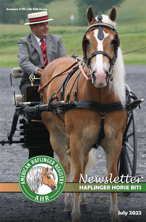 Haflinger Horse | American Haflinger Registry