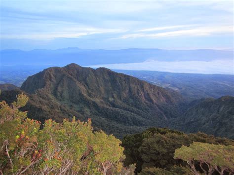 LEXICAL CROWN: MOUNT DULANG-DULANG CLIMB