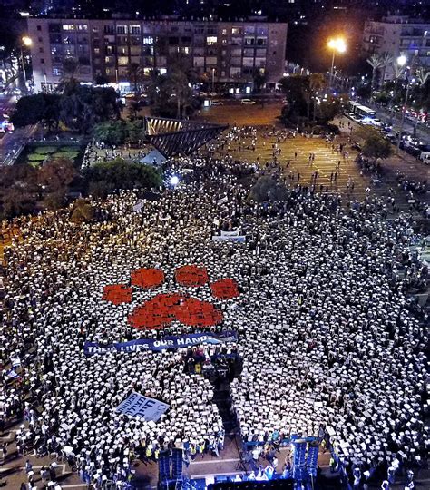 30,000 people marched tonight for Animal Rights in Tel Aviv : r/pics