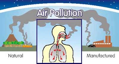 Effects Of Common Air Pollutants on Human Health