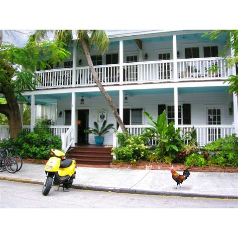 Pet friendly bed and breakfast guest house hotel rooms key west ...