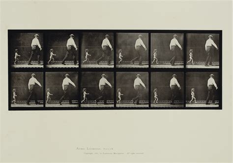 EADWEARD MUYBRIDGE (1830-1904) , Animal Locomotion, 1887 | Christie's