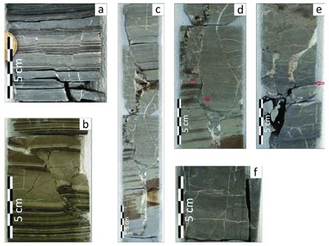 Examples of (a) normal micro-faults with small horst and grabens; (b) a ...