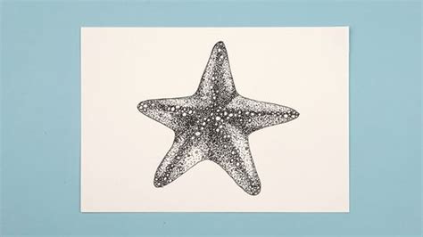 Details more than 61 starfish pencil sketch best - seven.edu.vn