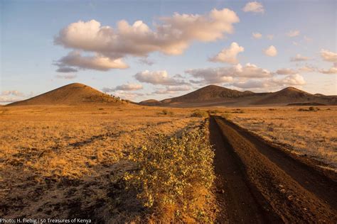 chalbi desert - Google Search | Desert travel, Country roads, Deserts