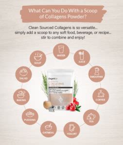 Organixx Collagen Powder. 170G. - Oasis Naturals