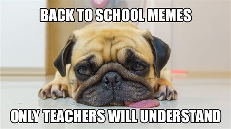 Back To School Memes For Students