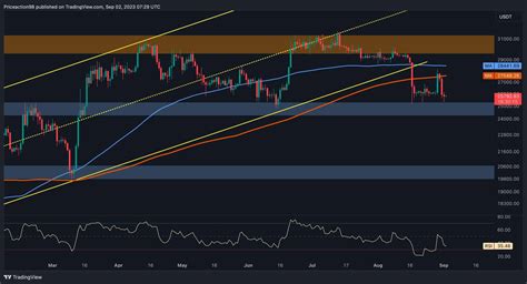 BTC's In Danger, This is The Most Critical Level Now (Bitcoin Price ...