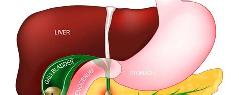 What is Gallbladder Surgery? - GBL Hospital