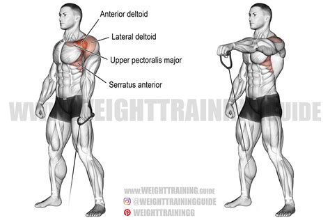 Cable one-arm front raise exercise instructions and video