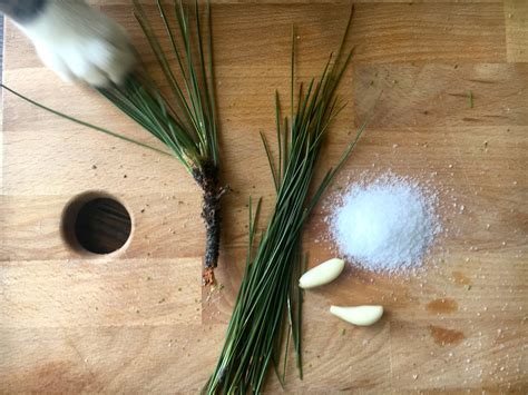 Salted Spruce Tips and Pine Infused Garlic Salt | Root Simple
