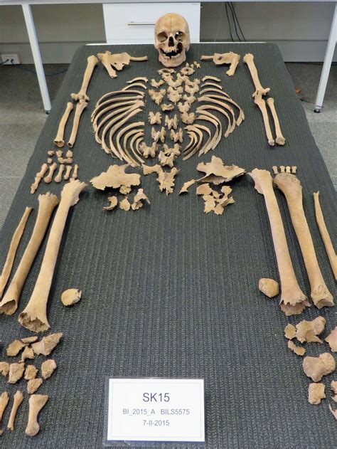 Fragments point to more skeletons being discovered on island after Batavia shipwreck - ABC News