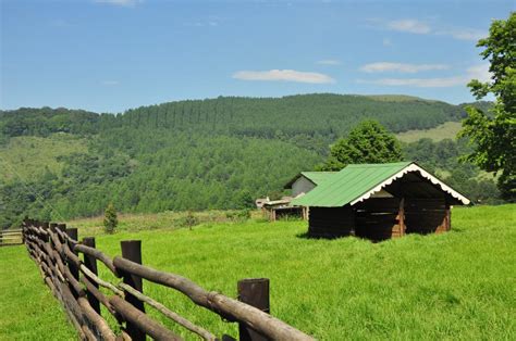 Midlands Meander: A long weekend at Brahman Hills | Eager Journeys