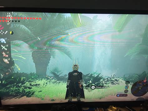 Just got Phantom Ganon armor! : r/Breath_of_the_Wild