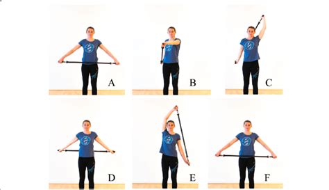 While standing up straight, a stick is held to the thighs with the... | Download Scientific Diagram