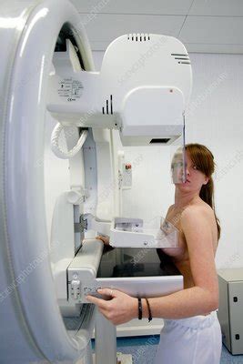 Mammography - Stock Image - M415/0611 - Science Photo Library