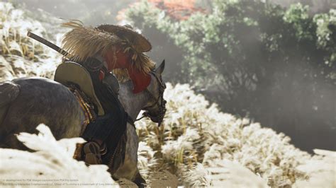 Ghost of Tsushima Gets New Screenshots Showing Off Its Pretty Art