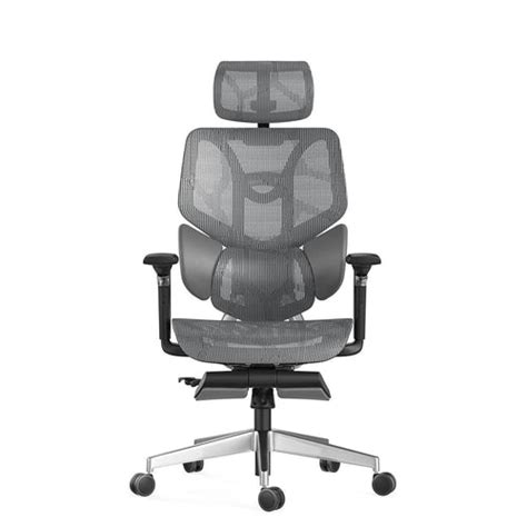 HBADA E3 Ergonomic Chair Pro