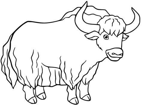 A Normal Yak Coloring Page | Images and Photos finder