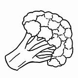 Cauliflower Coloring Pages Printable For Free Download sketch template