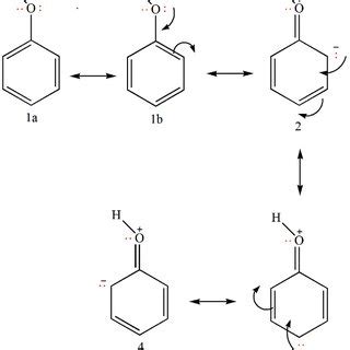 Chemical reactions step during the phenol oxidation. | Download Scientific Diagram