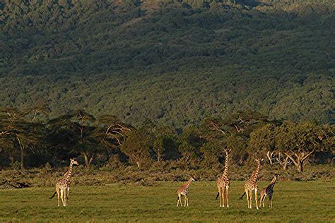 Arusha national park - Travel to the Arusha national park