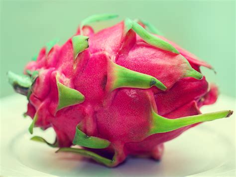 Dragon Fruit (Pitaya): 15 Benefits for Health, Skin, and Hair | Styles At Life