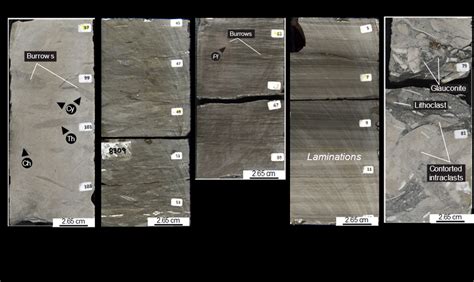 Lithofacies described in cores from Austin Chalk wells from Loucks and ...