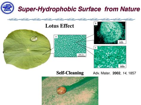 PPT - Requirements of Super-Hydrophobic Surface PowerPoint Presentation - ID:207335