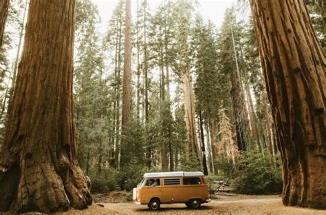 Sequoia National Park Camping and Kings Canyon Camping Guide