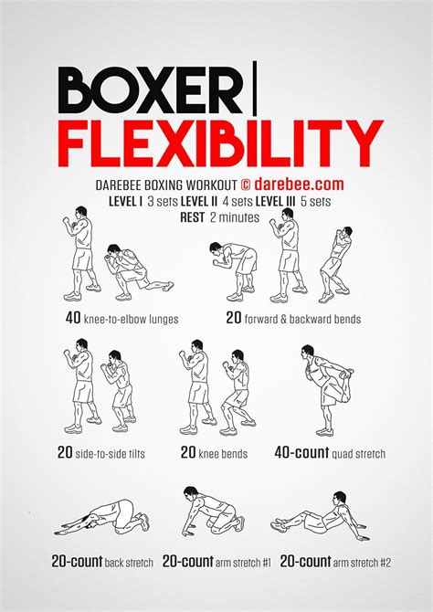 Day 5 - Boxer Flexibility Workout | Flexibility workout, Boxing training workout, Kickboxing workout