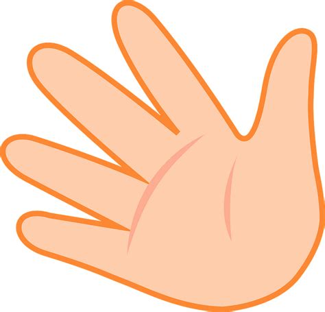 Hand clipart. Free download transparent .PNG | Creazilla