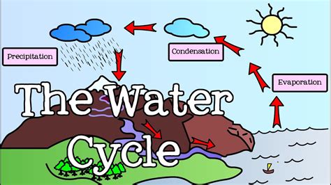 English Class: Water Cycle