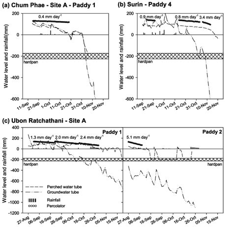 Examples of the changes in perched water and groundwater table ...