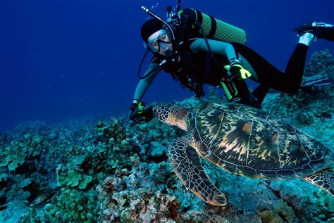 Top Dive Spots in Micronesia | Guam, Diving, Guam beaches