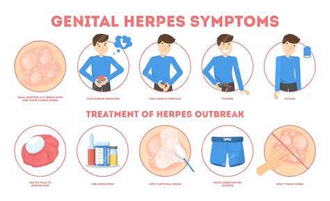 Premium Vector | Genital herpes symptoms. Infectious dermatology disease illustration