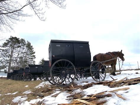 Crash that killed two Amish children raises questions about buggy safety | WHNT.com